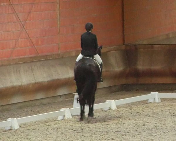 Reitturnier Tremsdorf, Eichenhof 2024