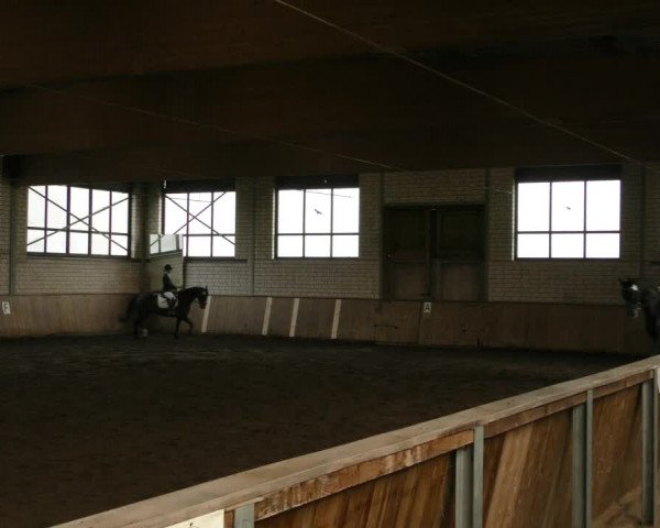 Reitturnier Hildesheim- Marienburg 2024