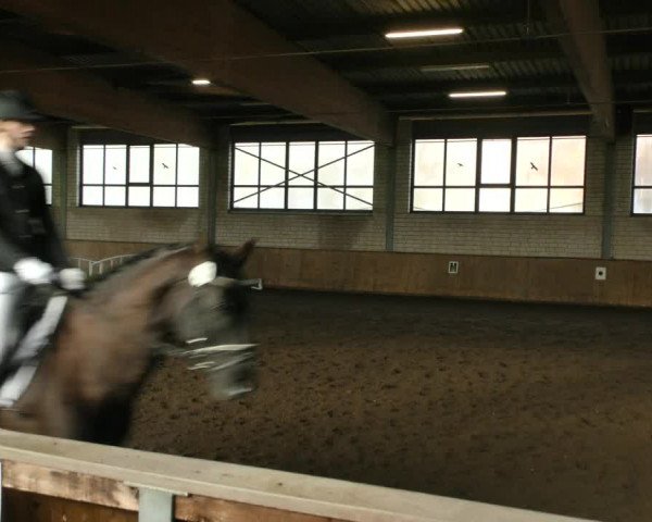 Reitturnier Hildesheim- Marienburg 2024