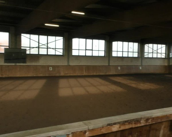 Reitturnier Hildesheim- Marienburg 2024