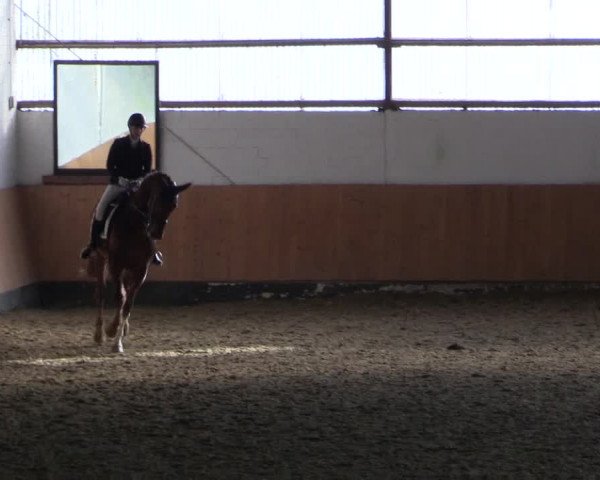 Reitturnier Datteln 2024