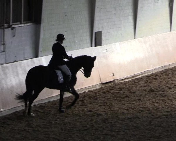 Reitturnier Datteln 2024