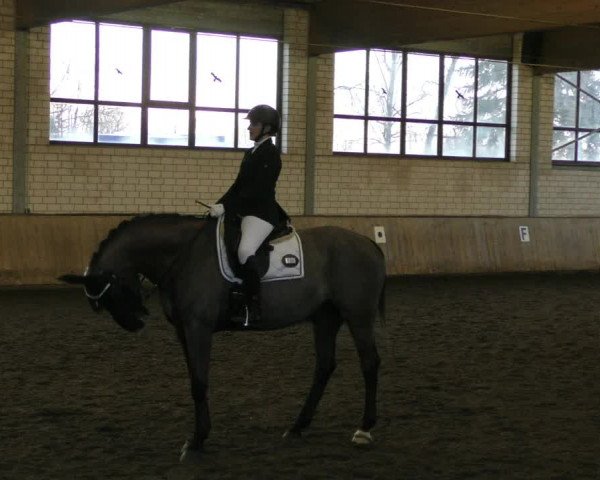 Reitturnier Hildesheim- Marienburg 2024
