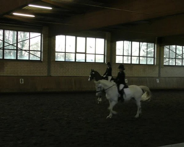 Reitturnier Hildesheim- Marienburg 2024