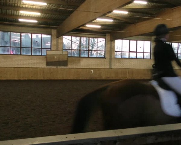 Reitturnier Hildesheim- Marienburg 2024