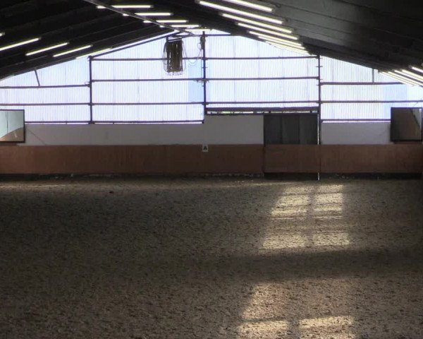 Reitturnier Datteln 2024