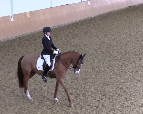 Reitturnier Datteln 2024