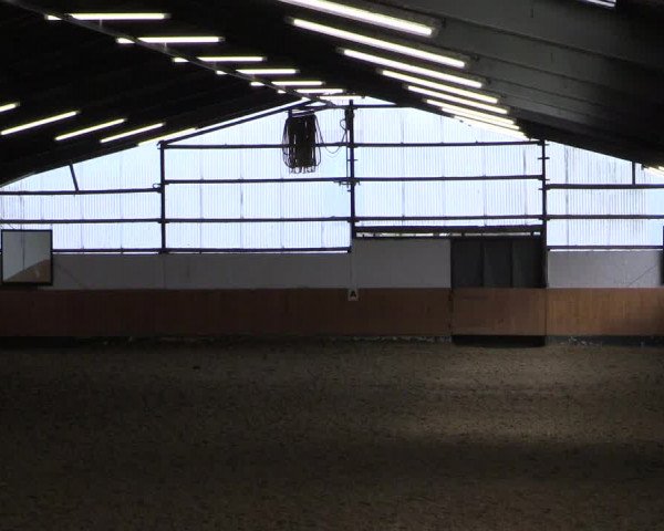 Reitturnier Datteln 2024