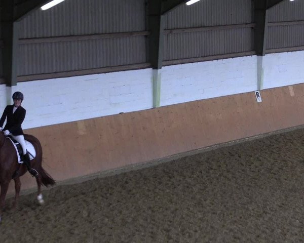 Reitturnier Datteln 2024