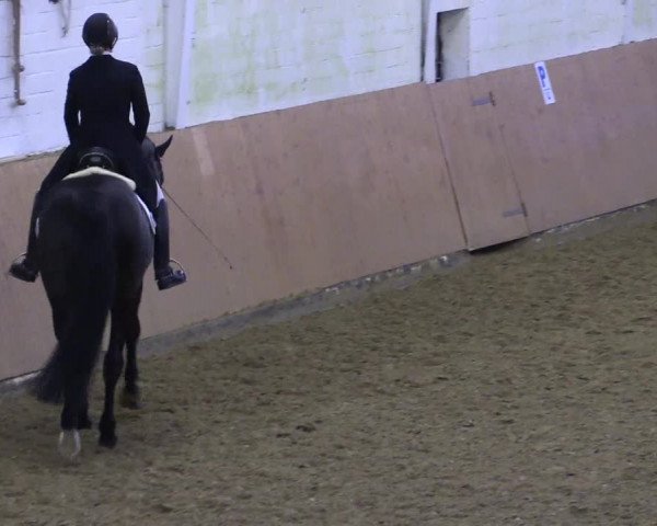 Reitturnier Datteln 2024