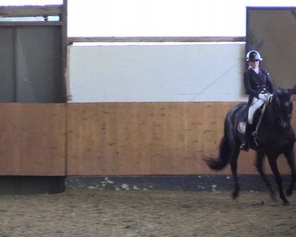 Reitturnier Datteln 2024