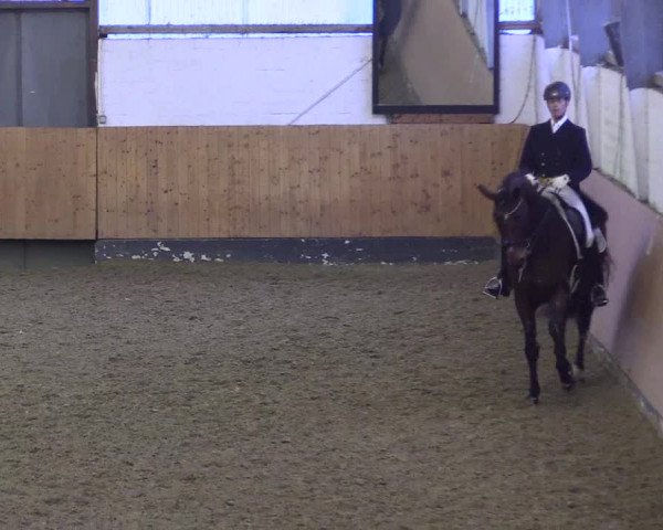 Reitturnier Datteln 2024