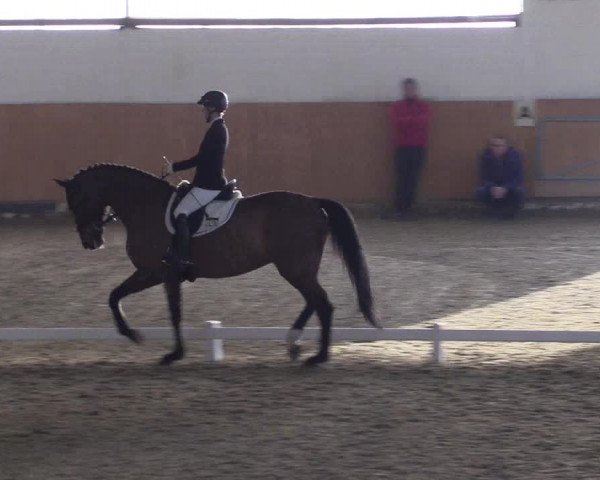 Reitturnier Datteln 2024