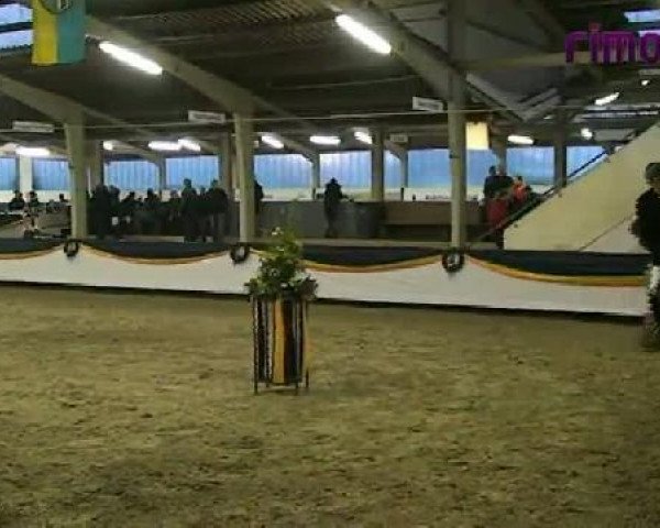 Vreden 2011