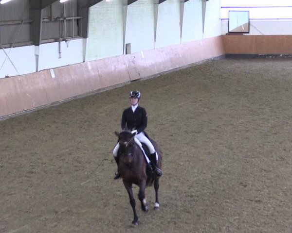 Reitturnier Datteln 2024