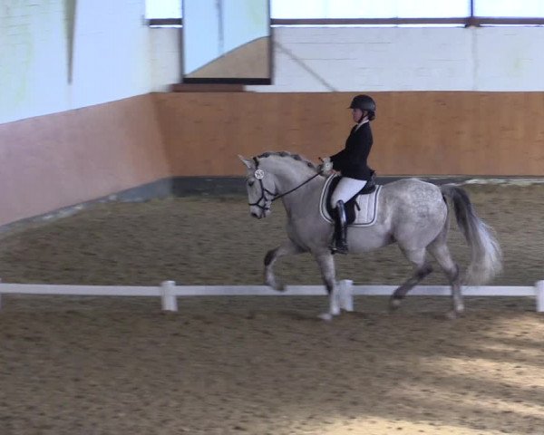 Reitturnier Datteln 2024
