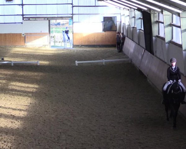 Reitturnier Datteln 2024