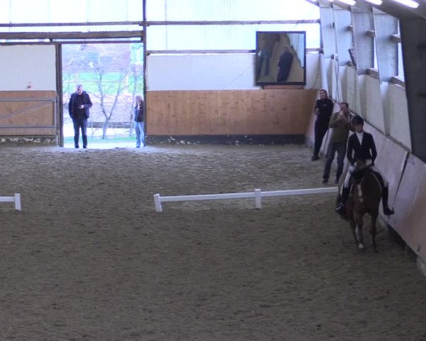 Reitturnier Datteln 2024