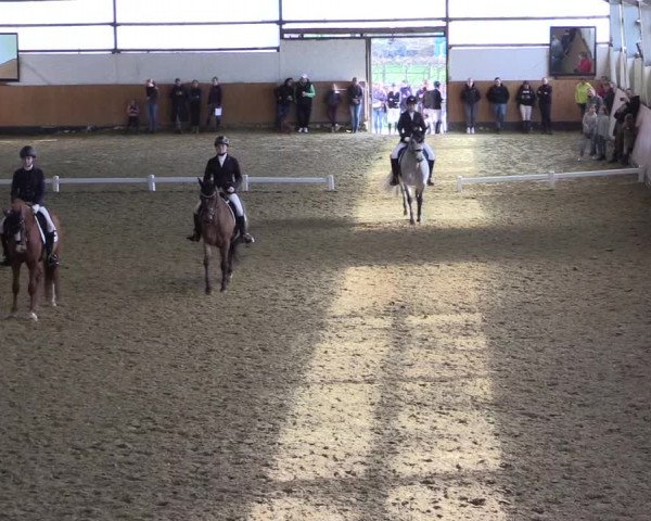Reitturnier Datteln 2024
