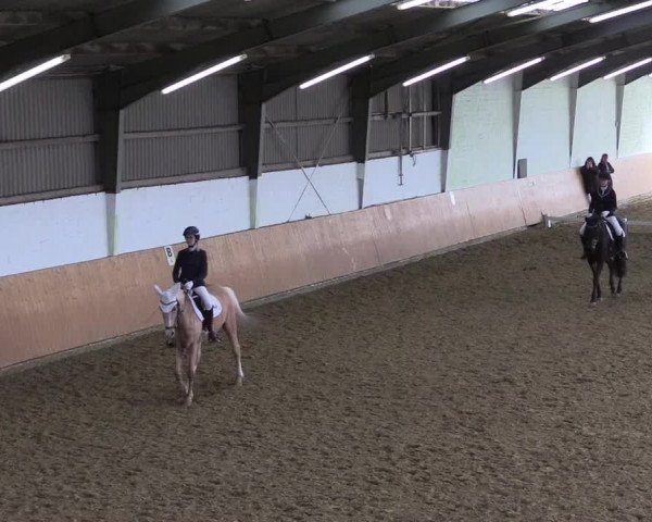 Reitturnier Datteln 2024