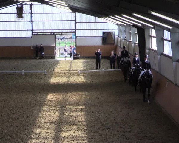 Reitturnier Datteln 2024