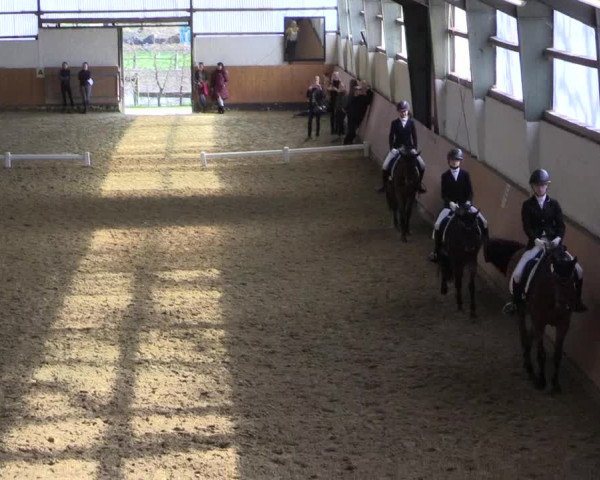 Reitturnier Datteln 2024