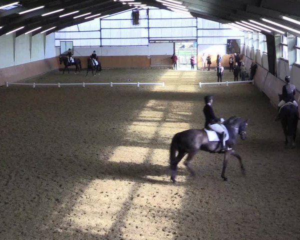 Reitturnier Datteln 2024