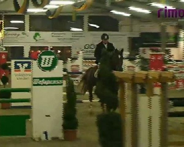 Vreden 2011