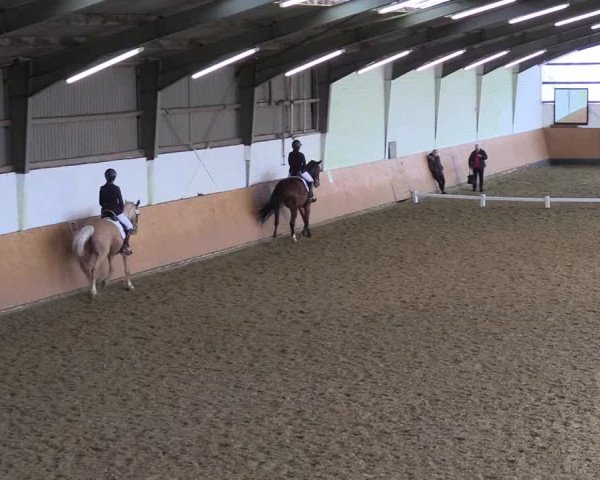 Reitturnier Datteln 2024