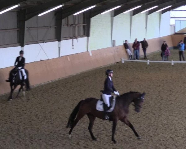 Reitturnier Datteln 2024
