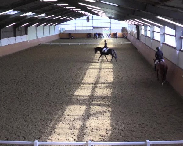 Reitturnier Datteln 2024