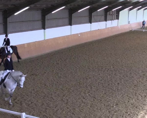 Reitturnier Datteln 2024