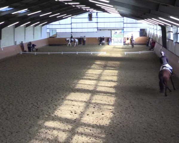 Reitturnier Datteln 2024
