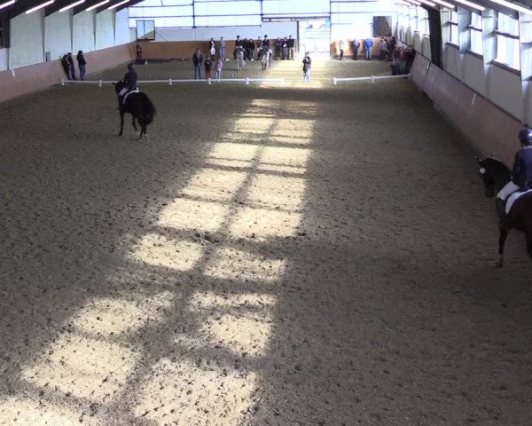 Reitturnier Datteln 2024