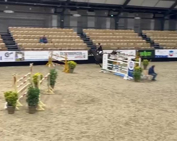 Video of Unairo