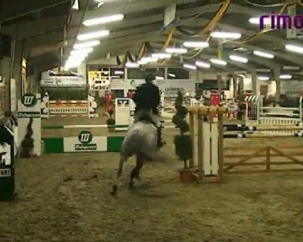 Vreden 2011