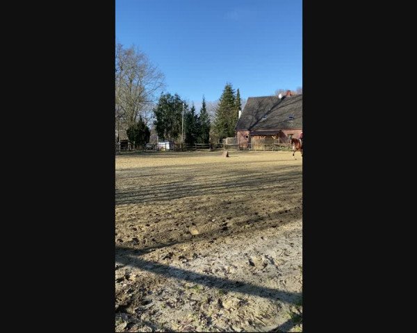 Video of Finest Dream