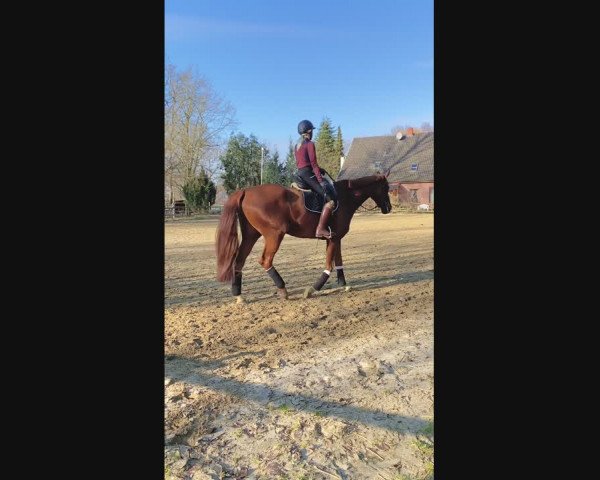 Video of Finest Dream