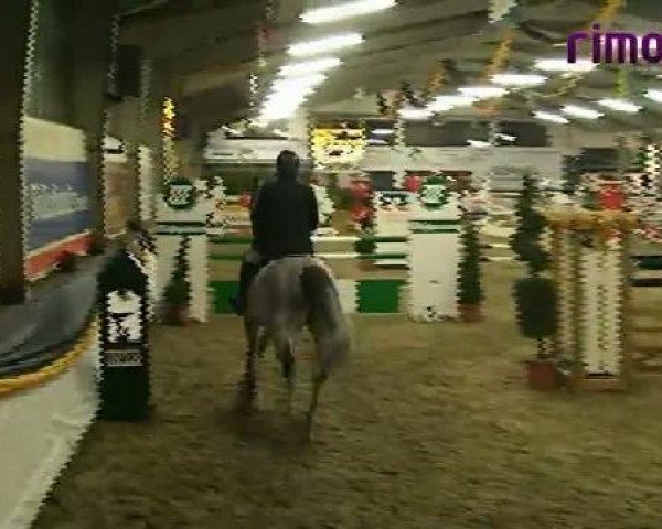 Vreden 2011