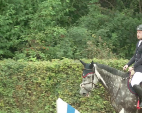 Reitturnier Böblingen 2021