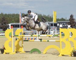 jumper Coco 321 (Westphalian, 2012, from Comme il Faut)