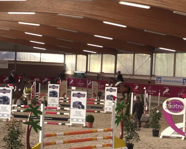 Reitturnier Kaldenkirchen - Gestüt Seehof 2024