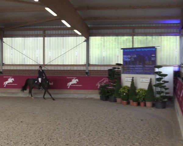 Reitturnier Kaldenkirchen - Gestüt Seehof 2024