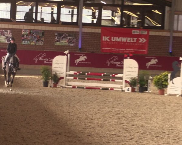 Reitturnier Kaldenkirchen - Gestüt Seehof 2024