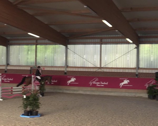 Reitturnier Kaldenkirchen - Gestüt Seehof 2024