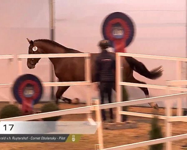 Video of Easy Jet