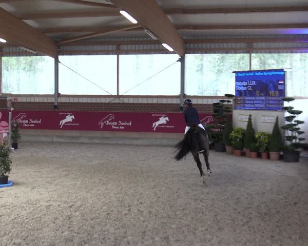 Reitturnier Kaldenkirchen - Gestüt Seehof 2024