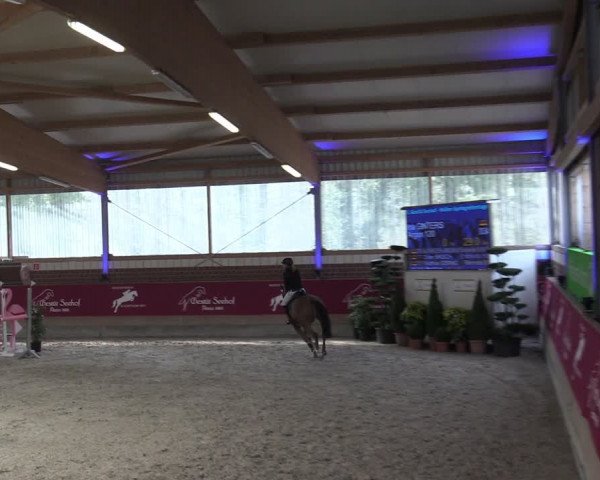 Reitturnier Kaldenkirchen - Gestüt Seehof 2024