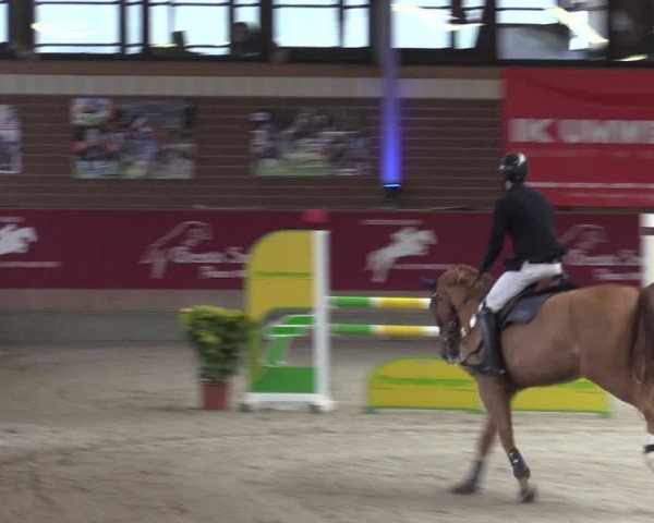 Reitturnier Kaldenkirchen - Gestüt Seehof 2024