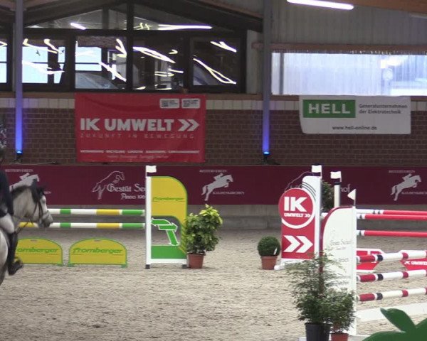 Reitturnier Kaldenkirchen - Gestüt Seehof 2024